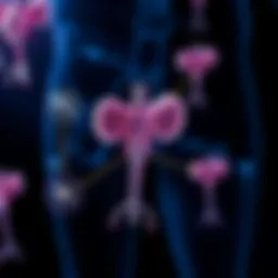 Diagram illustrating the connection between urinary tract infections and cancer risk factors.