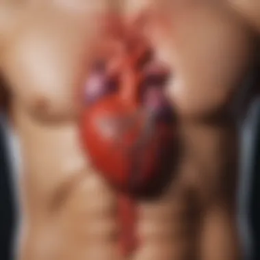 Impact of Cardiovascular Conditions on Neurological Health Visual representation of cardiovascular health affecting nerve function.