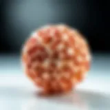 Copper Zirconium alloy sample exhibiting unique texture