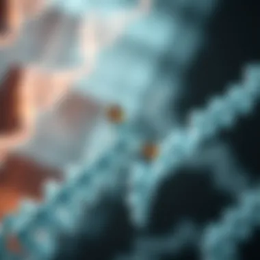 Genetic studies related to Type 1 diabetes