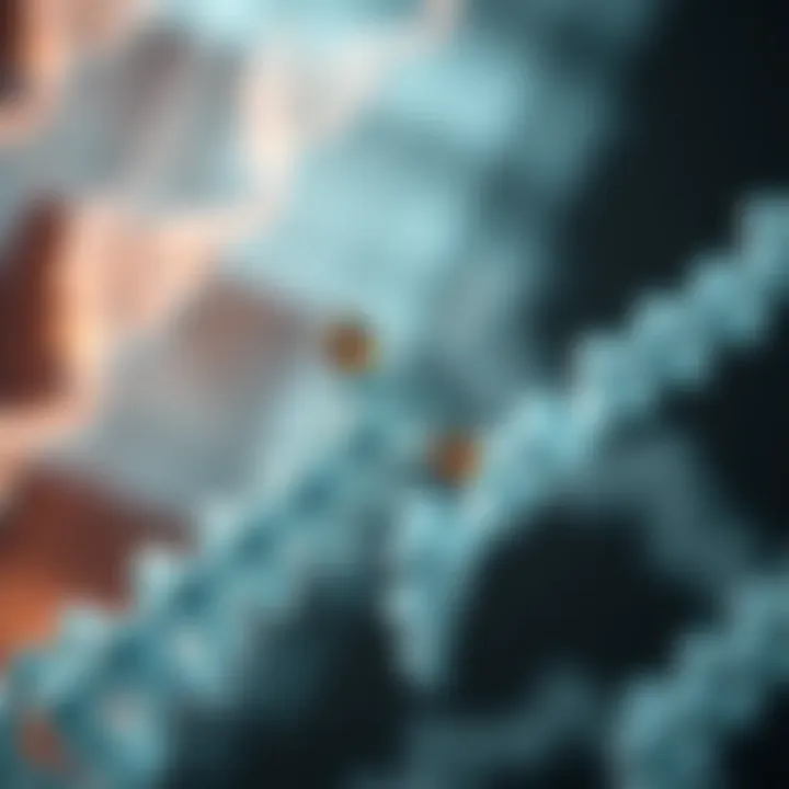 Genetic studies related to Type 1 diabetes