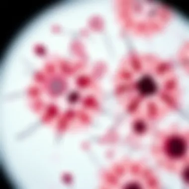 Microscopic Examination of Lung Cancer Cells Detailed view of lung cancer cells under a microscope