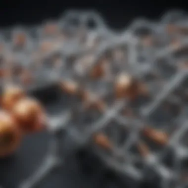 Molecular Structure of FCCP Uncouplers Molecular structure of FCCP uncouplers