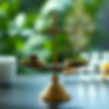 Weighing the Benefits and Risks of Herbal Use A balanced scale representing the benefits and risks of herbal remedies