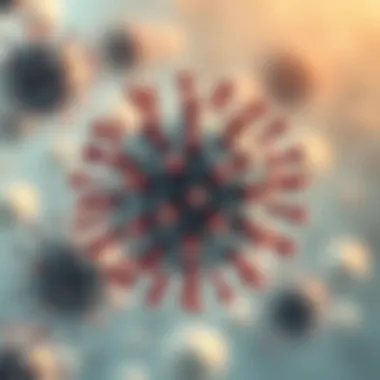 Transmission pathways of the influenza virus