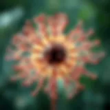 Exploring Interesting Biology Research Articles Introduction