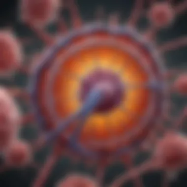 Diagram illustrating mechanism of action of Lipofectamine RNAiMAX in gene delivery