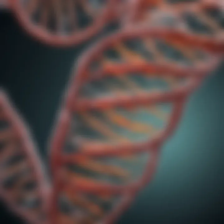 A detailed diagram showcasing mitochondrial DNA structure