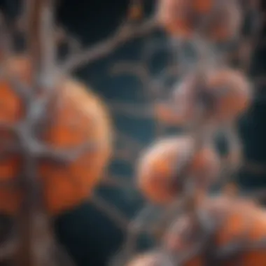 Cellular Mechanisms in Myelin Repair Cellular mechanisms involved in myelin repair