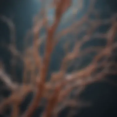 Innovative Therapies for Myelin Restoration Innovative therapies targeting myelin restoration