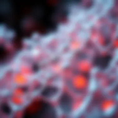 Medical Applications of Nanoscale Materials Visual overview of nanoscale materials in medical applications