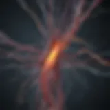 Neurological pathways associated with sensory process sensitivity