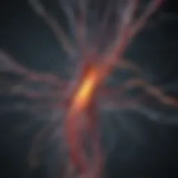 Neurological pathways associated with sensory process sensitivity