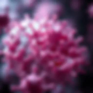 Cellular Diversity Analysis Representation Graphical representation of cellular diversity analysis