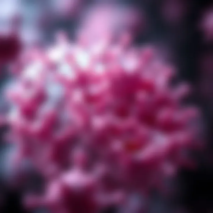 Cellular Diversity Analysis Representation Graphical representation of cellular diversity analysis