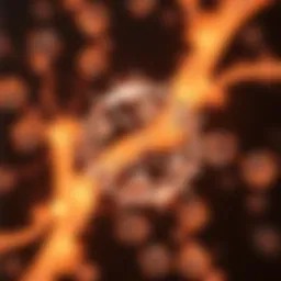 Visualization of single cell nuclei sequencing