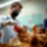 Poultry vaccination demonstration showcasing a veterinarian administering an avian influenza vaccine to chickens.