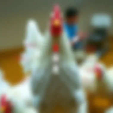 Types of Avian Influenza Vaccines Illustration of various avian influenza vaccine types, highlighting their unique characteristics and applications.