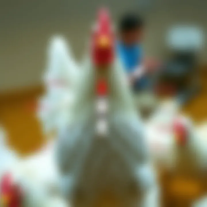 Types of Avian Influenza Vaccines Illustration of various avian influenza vaccine types, highlighting their unique characteristics and applications.