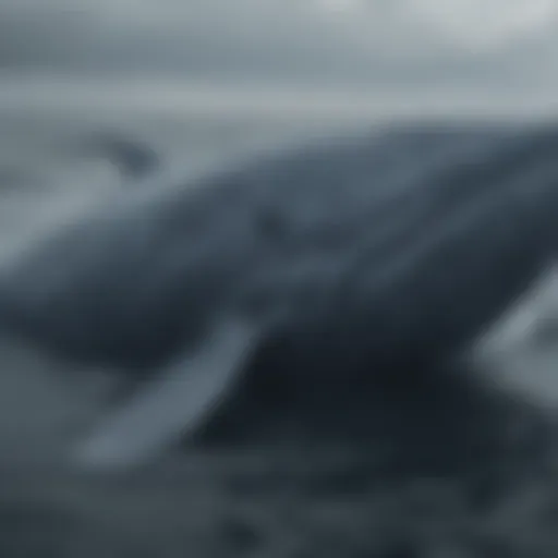 A majestic blue whale swimming gracefully in the ocean