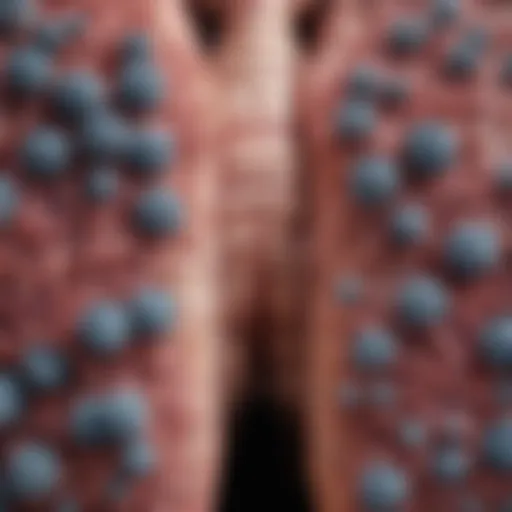 Visualization of non-small cell lung cancer subtypes