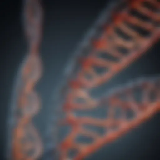 Detailed representation of Ha tag DNA sequence structure