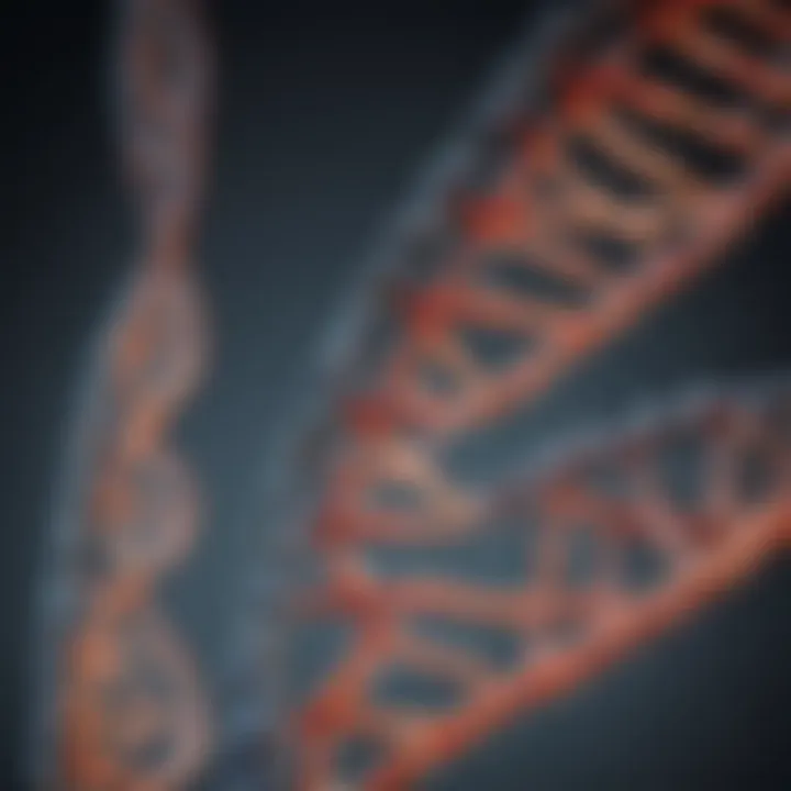 Detailed representation of Ha tag DNA sequence structure