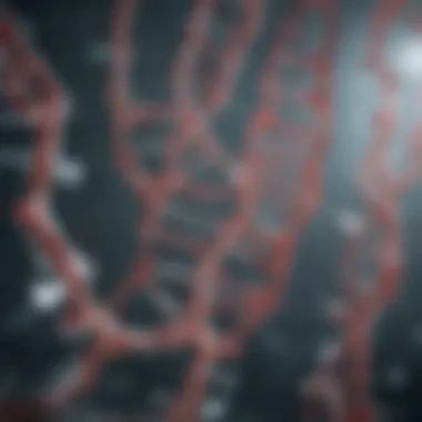 Applications of Ha tags in protein research and biotechnology