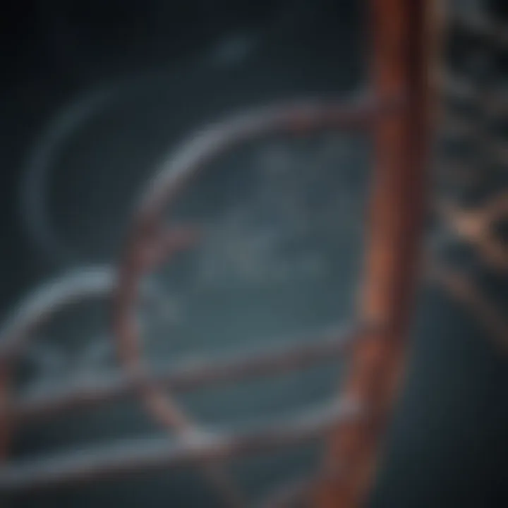 Innovative techniques for Ha tag incorporation in DNA constructs