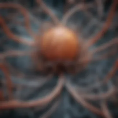 Illustration of biological systems demonstrating order and chaos.