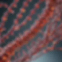 Structural analysis of the ipa gene