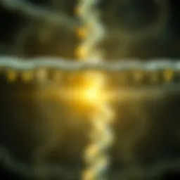 Visual representation of SCN2A gene structure