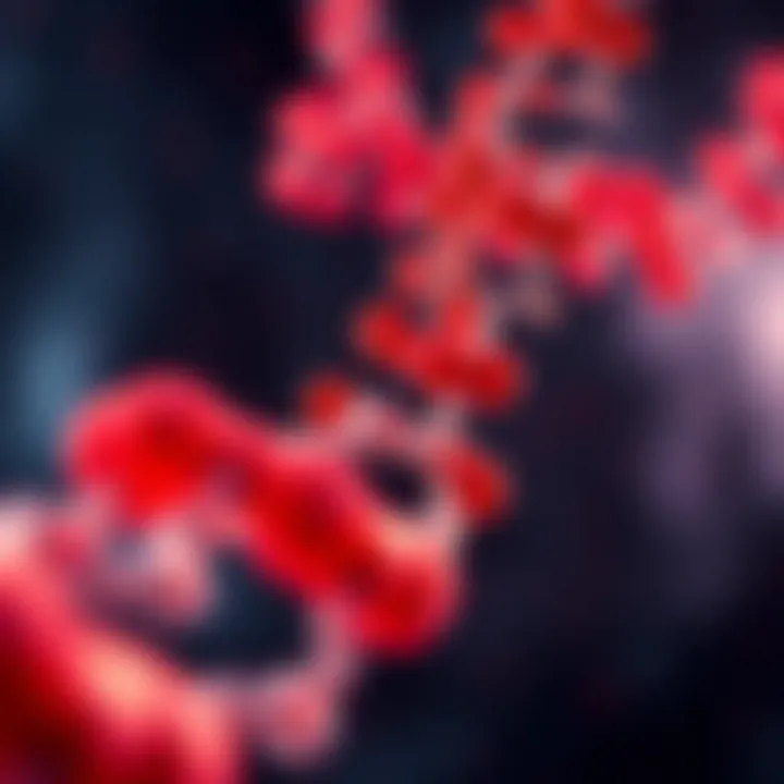 Illustration depicting the biological relevance of chromosome 17