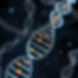 Genetic mapping of chromosome 17 illustrating NF1 locus
