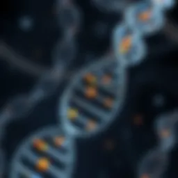 Genetic mapping of chromosome 17 illustrating NF1 locus