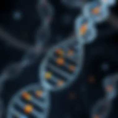 Genetic mapping of chromosome 17 illustrating NF1 locus