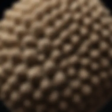 Intricate Patterns of a Wasp Nest Close-up view of a wasp nest showcasing intricate patterns