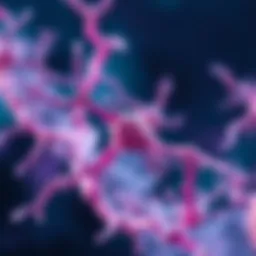 Exploring the PI3K-AKT Signaling Pathway: Functions and Implications in Cellular Biology Introduction