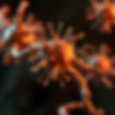 Notable Exploring the PI3K-AKT Signaling Pathway: Functions and Implications in Cellular Biology