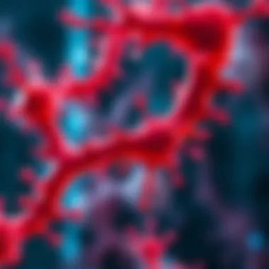 Exploring the PI3K-AKT Signaling Pathway: Functions and Implications in Cellular Biology Summary