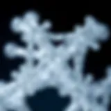 A close-up view of an intricate crystal lattice