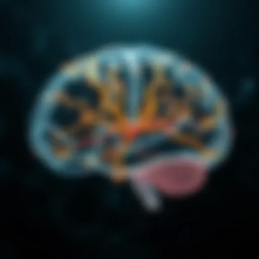 Illustration of neural pathways influenced by transcranial modulation