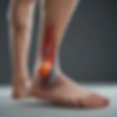 Understanding Flat Feet and Footwear Impact Anatomical diagram showcasing flat feet and the impact of footwear