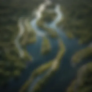 Aerial view of a river meandering through a lush landscape