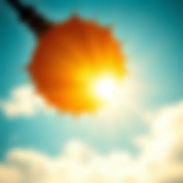 Illustration of sunlight exposure and its effects on vitamin D synthesis