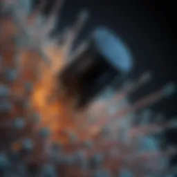 Visualization of labeled proteins under fluorescence microscopy