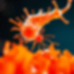 Physiological response to niacin supplementation