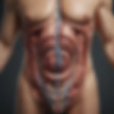 Anatomy of Gastric Bypass Diagram illustrating gastric bypass anatomy and effects