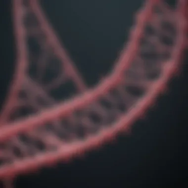 Cancer Pathways and Genetic Influence Graphical representation of cancer pathways influenced by genetic predisposition