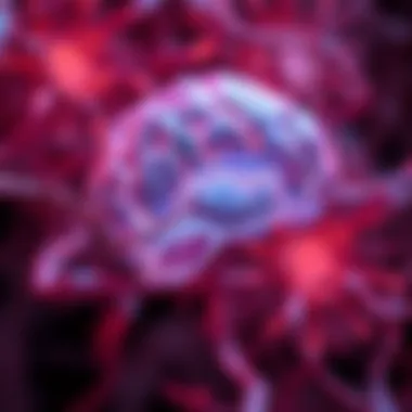 Diagnostic criteria for epilepsy